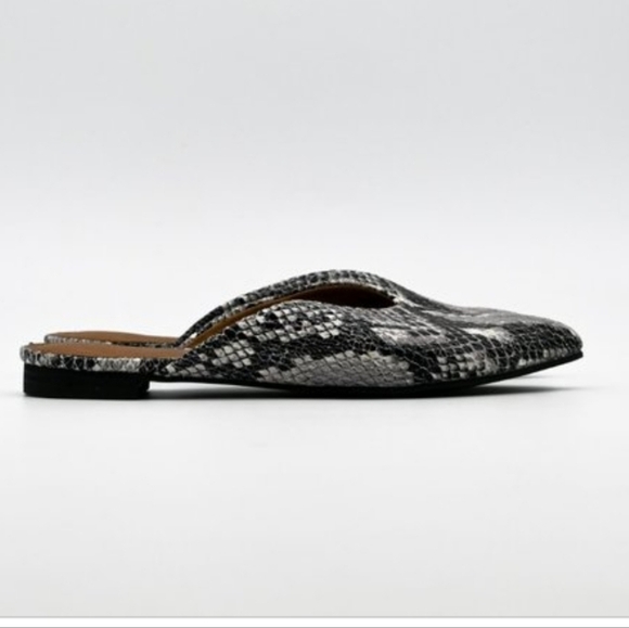 14th & Union Shoes - 14th and Union Snake Slides